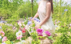 无人区卡一卡二卡三乱码入口